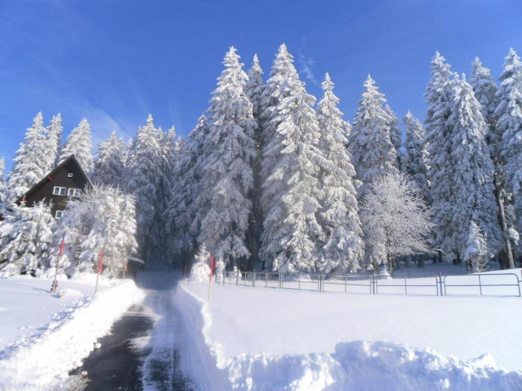 Landgasthaus Gemsennest Hotel Feldberg  Bagian luar foto