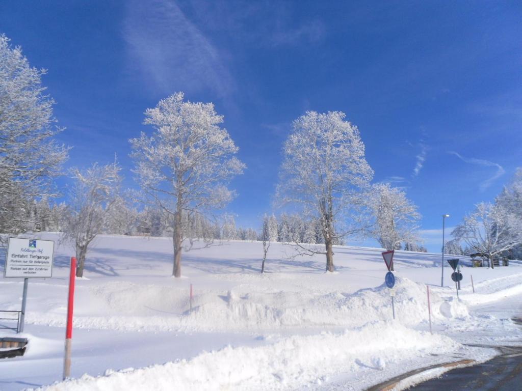 Landgasthaus Gemsennest Hotel Feldberg  Bagian luar foto