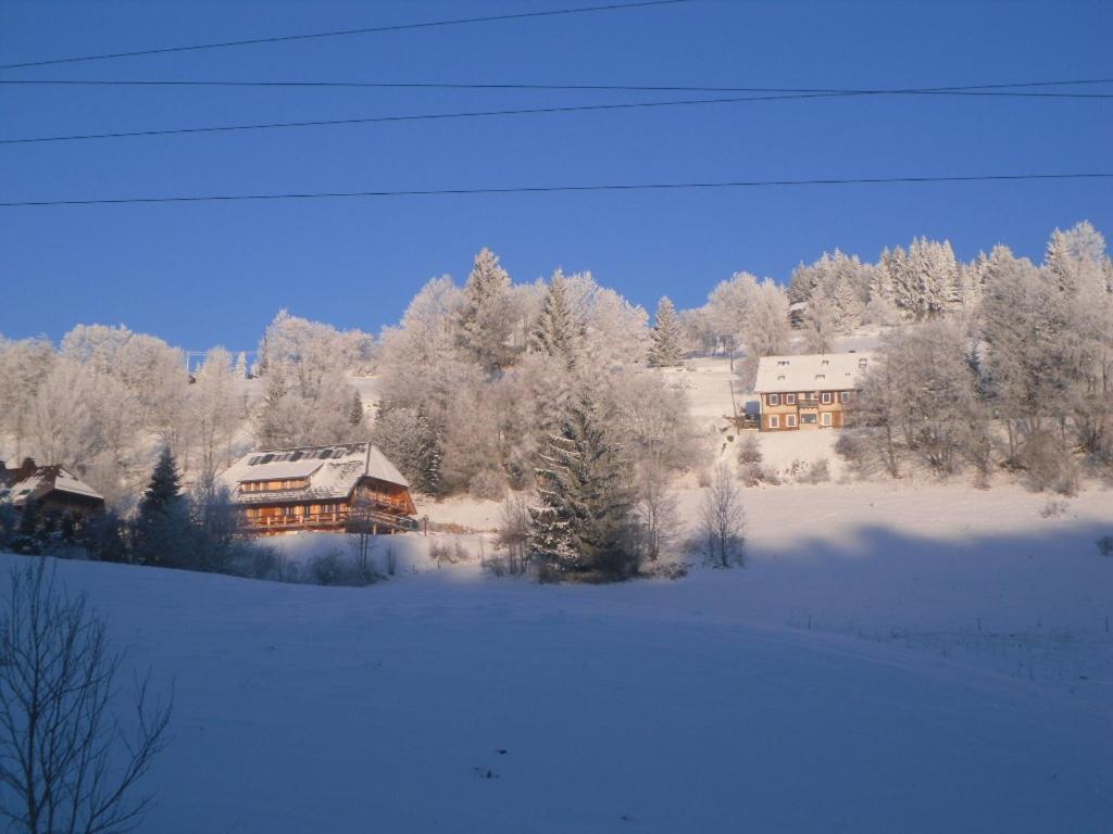 Landgasthaus Gemsennest Hotel Feldberg  Bagian luar foto