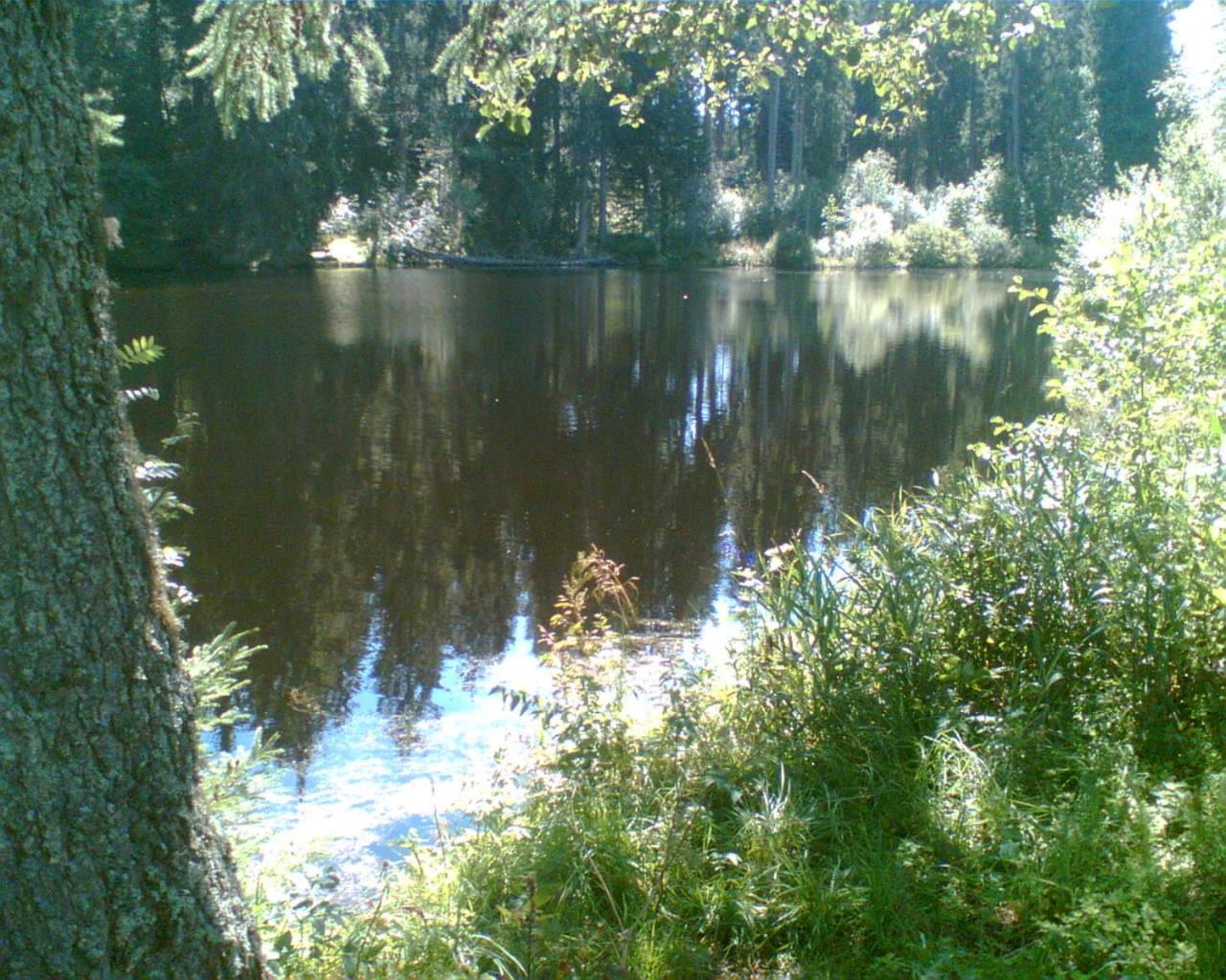 Landgasthaus Gemsennest Hotel Feldberg  Bagian luar foto