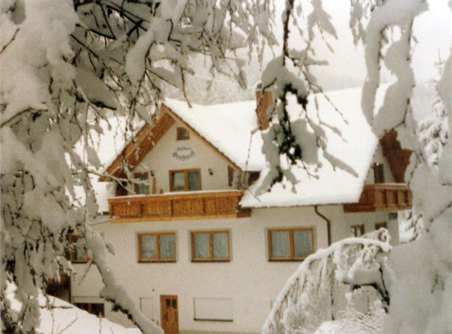 Landgasthaus Gemsennest Hotel Feldberg  Bagian luar foto