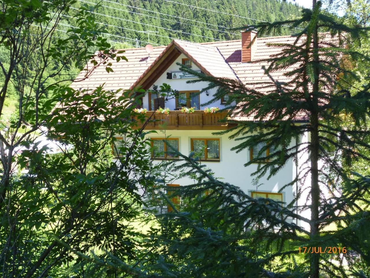 Landgasthaus Gemsennest Hotel Feldberg  Bagian luar foto