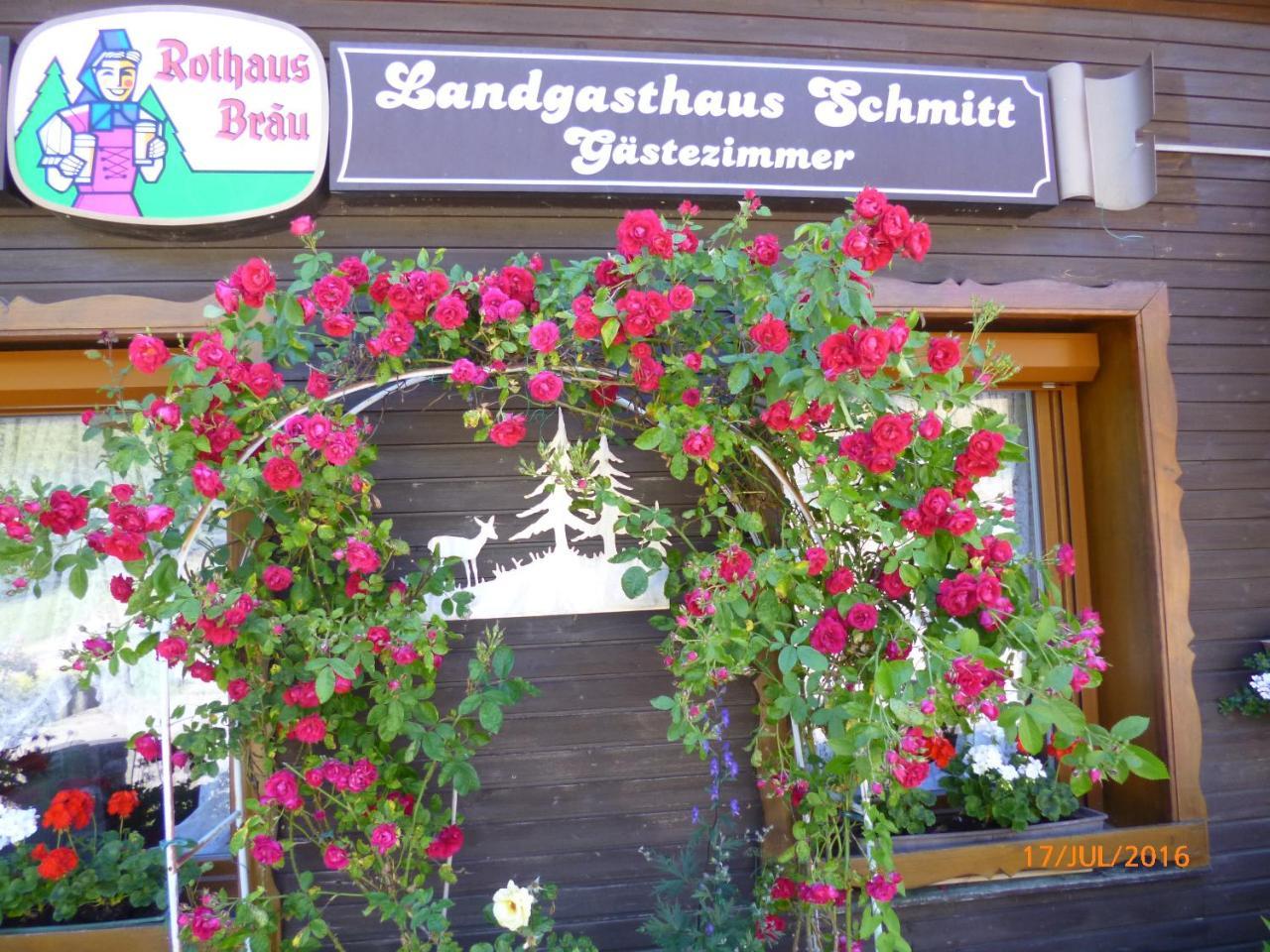 Landgasthaus Gemsennest Hotel Feldberg  Bagian luar foto